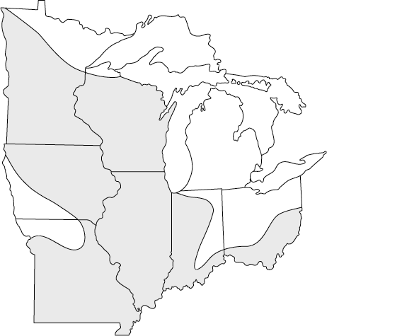 Black sandshell distribution map 1992