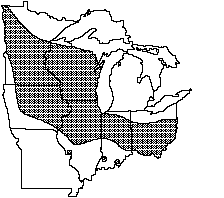 Creek heelsplitter distribution 1992