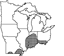 Little spectaclecase distribution map 1992