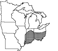 Northern riffleshell distribution map 1992