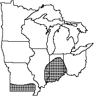 Purple lilliput distribution map 1992