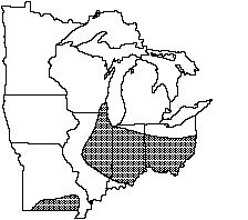 Rainbow distribution map 1992