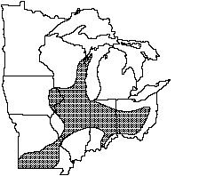 Slippershell mussel distribution 1992
