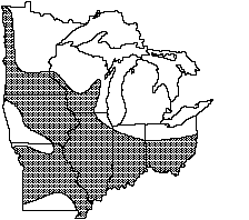 Mapleleaf distribution