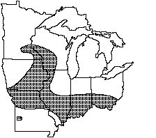 winged mapleleaf distribution 1992